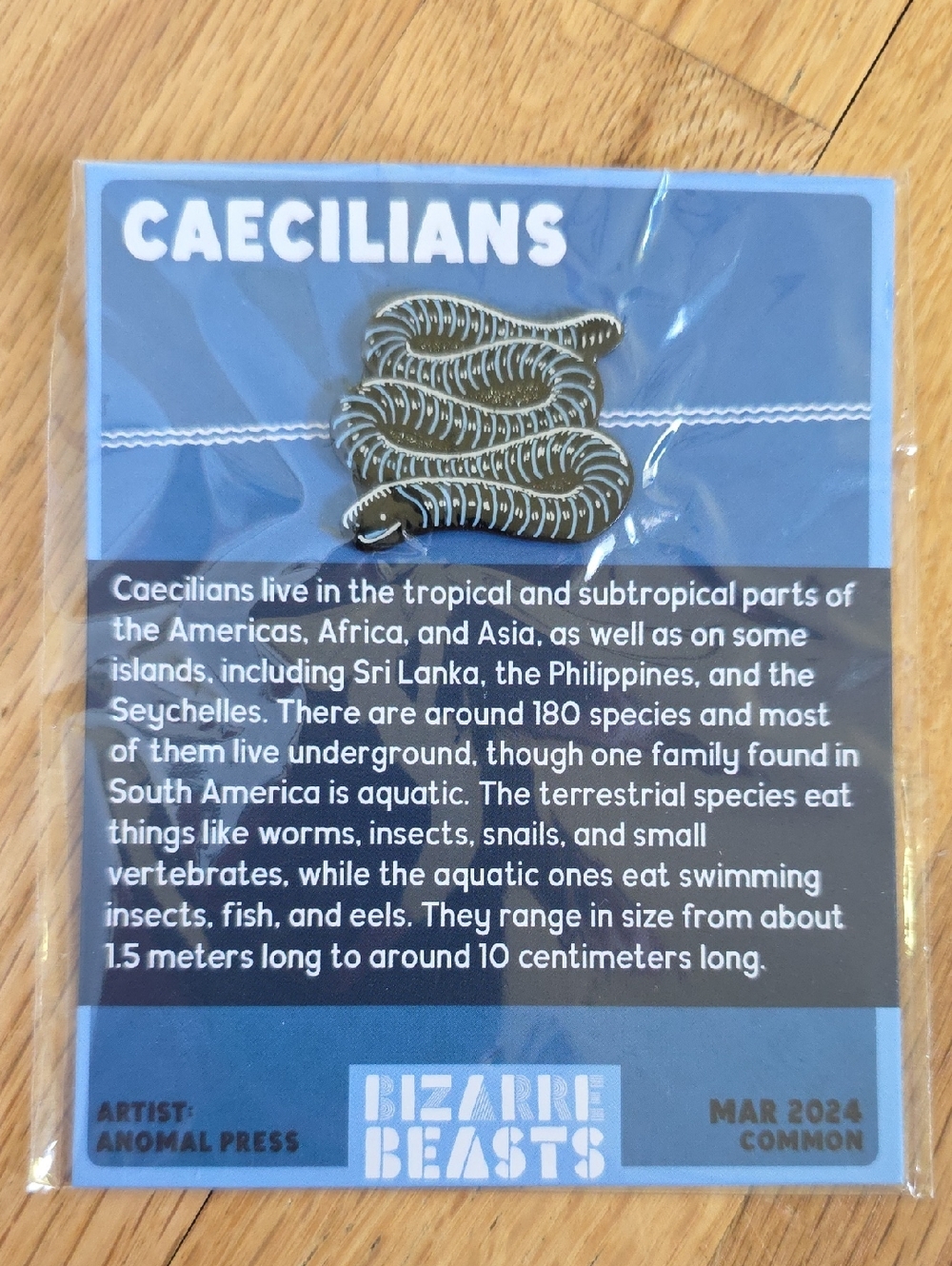 Bizarre Beasts Enamel Pin March 2024 Caecilians Common